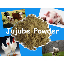 Animal Feed- Jujube Powder with Competitive Price and High Quality